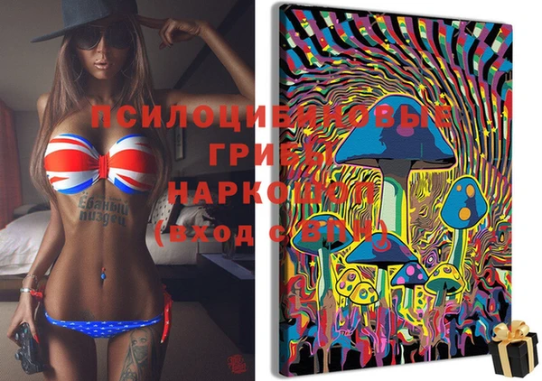 каннабис Богданович