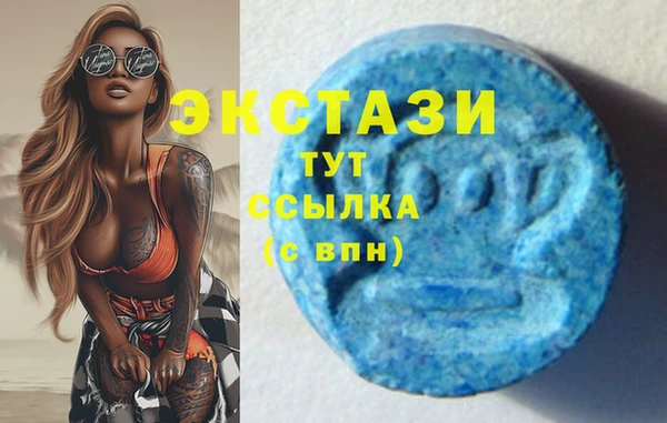 mdpv Богородицк